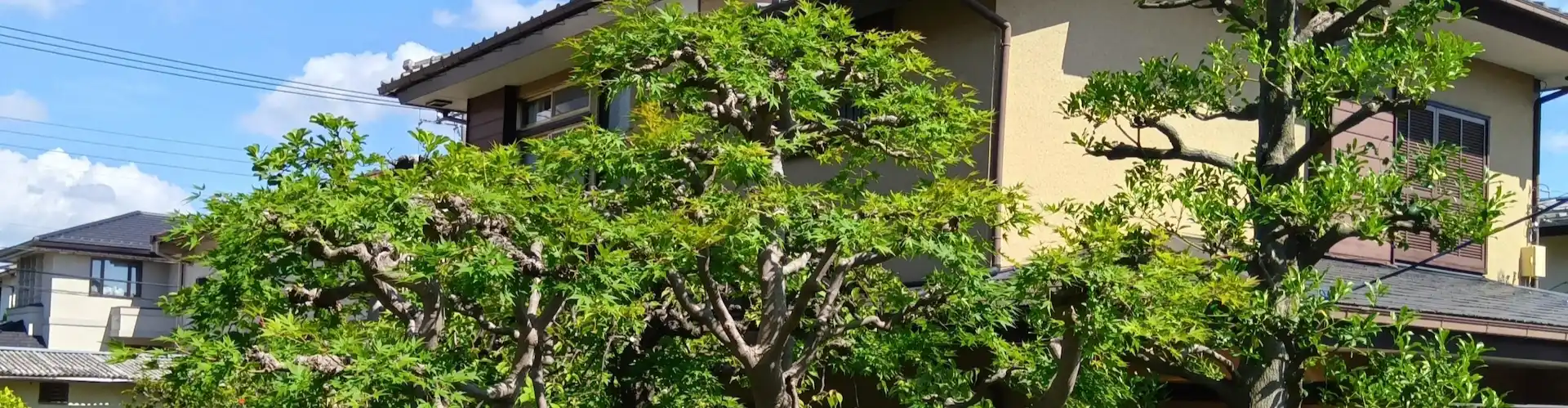 川崎市麻生区の植木屋。