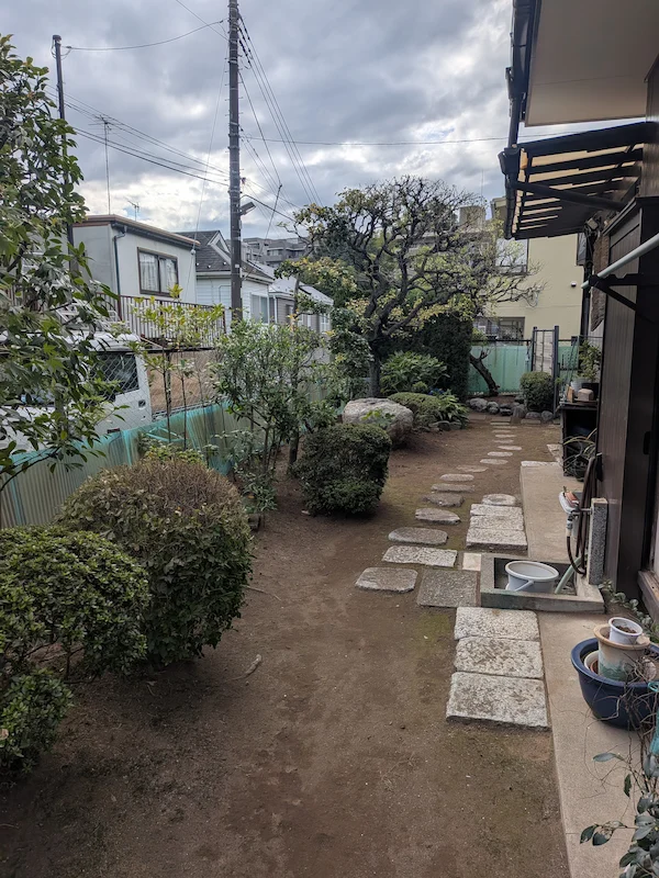 川崎市多摩区の主庭の剪定後全景。奥には手入れされた梅の木が見え、庭全体がさっぱりとした。