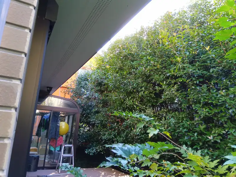 横浜市青葉区あざみ野にて、大きく育ちすぎたレッドロビンの強剪定作業前の様子