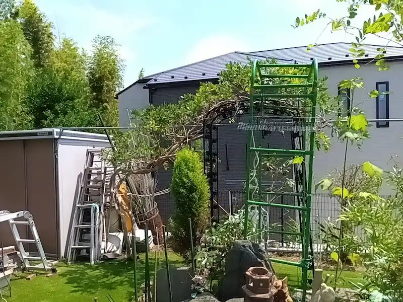 お庭の360度撮影・剪定後（3/3）。高く伸びた枝を下げ、空が大きく見えるようになった開放的な庭