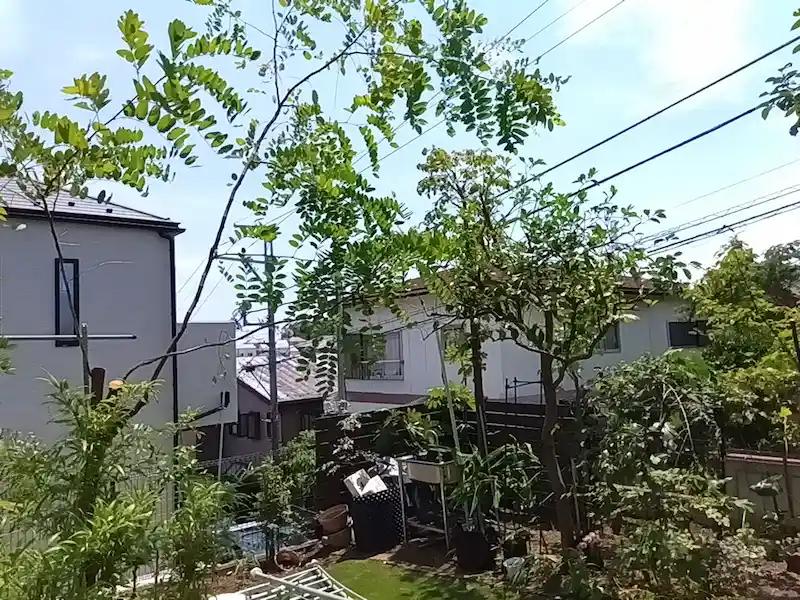 お庭の360度撮影・剪定後（2/3）。生い茂っていた木々を透かし、風通しと見通しが改善した庭景