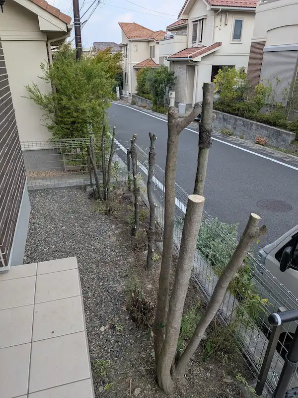 東京都稲城市若葉台での抜根作業。まずは準備として庭木の枝をおろしている様子