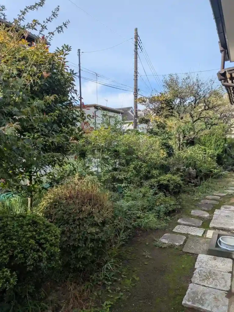 川崎市多摩区三田のお庭における剪定作業前の様子