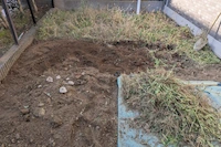 粘土質の土壌を掘り返し残った雑草の根を丁寧に取り除く基礎工事の様子